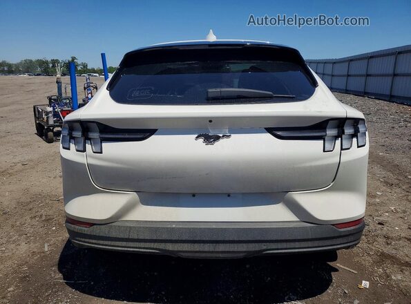 3FMTK1RM7MMA25740 2021 FORD MUSTANG Белый Вид сзади