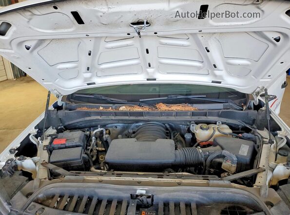 3GCNWAEF7LG114858 2020 CHEVROLET SILVERADO Белый Вид задней части салона