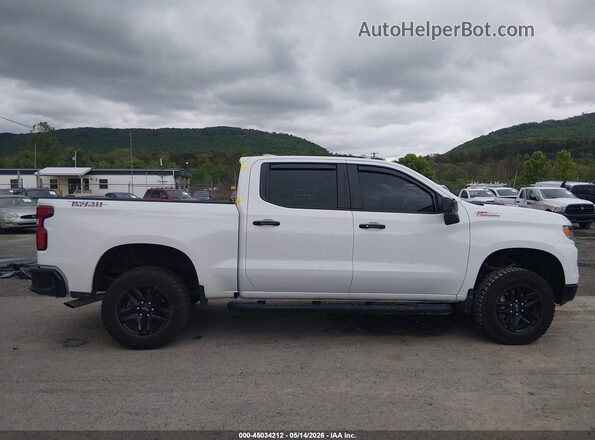 3GCPDFEK4RG361076 2024 CHEVROLET SILVERADO White Widok wnętrza 360 stopni