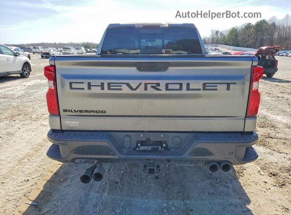 3GCPYFED2LG305537 2020 CHEVROLET SILVERADO Серый Вид сзади