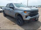2024 Chevrolet Silverado 1500 4wd  Short Bed Custom Trail Boss Gray vin: 3GCUDCED8RG376893