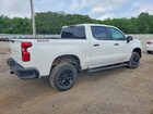 2024 Chevrolet Silverado K1500 Lt Trail Boss Белый vin: 3GCUDFED2RG343521