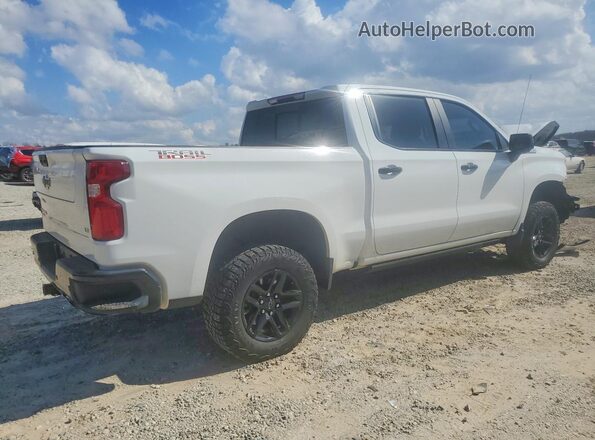 3GCUDFELXPG213975 2023 CHEVROLET SILVERADO White Tył prawy