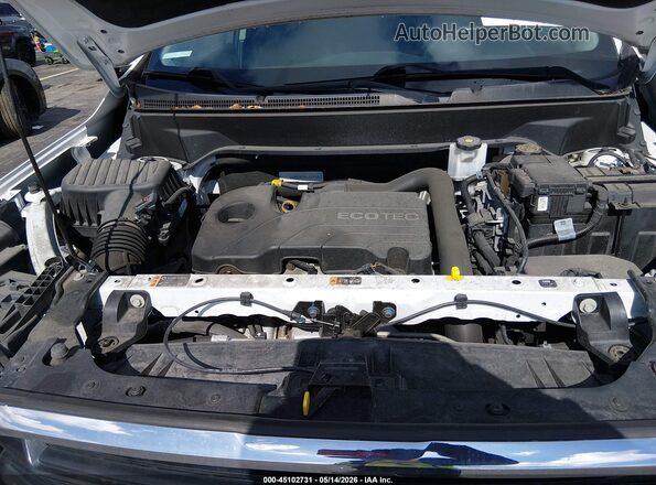 3GKALMEV4LL167836 2020 GMC TERRAIN White Widok z tyłu
