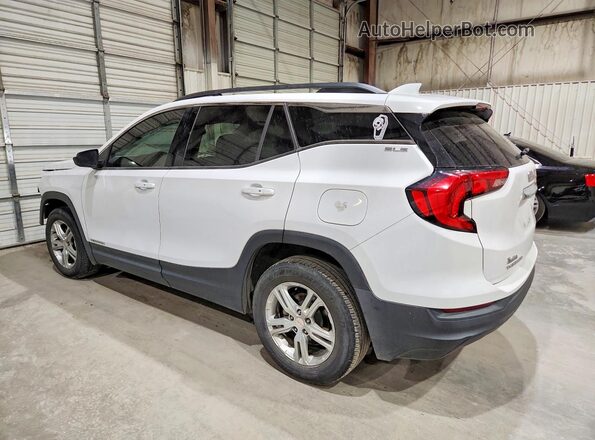 3GKALMEV5LL329294 2020 GMC TERRAIN White უკანა მარცხენა