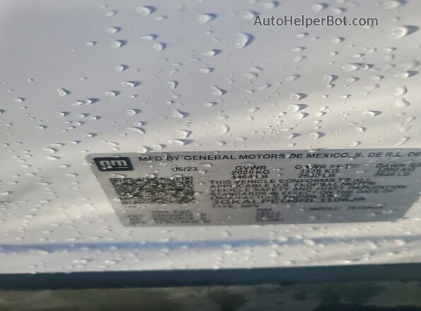3GKALPEG9RL110625 2024 GMC TERRAIN White Widok naklejki z numerem VIN