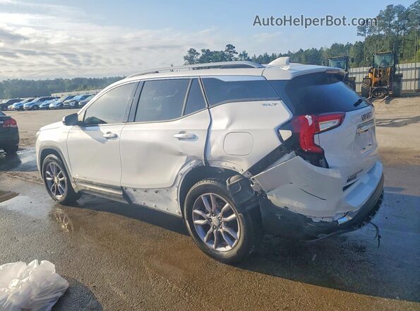 3GKALPEG9RL110625 2024 GMC TERRAIN White Tył lewy