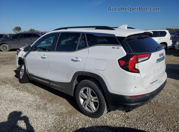 3GKALTEG7RL319130 2024 GMC TERRAIN Белый Задняя левая четверть