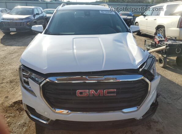 3GKALTEG7RL319130 2024 GMC TERRAIN Белый Вид спереди