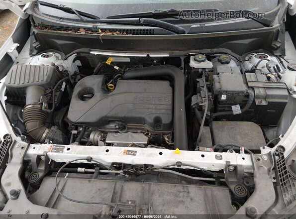 3GKALVEG8RL314773 2024 GMC TERRAIN Белый Вид сзади