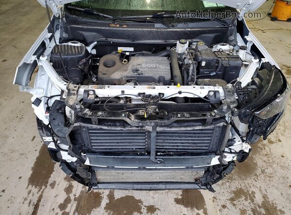 3GKALVEV6LL310372 2020 GMC TERRAIN White Vista del compartimento del motor