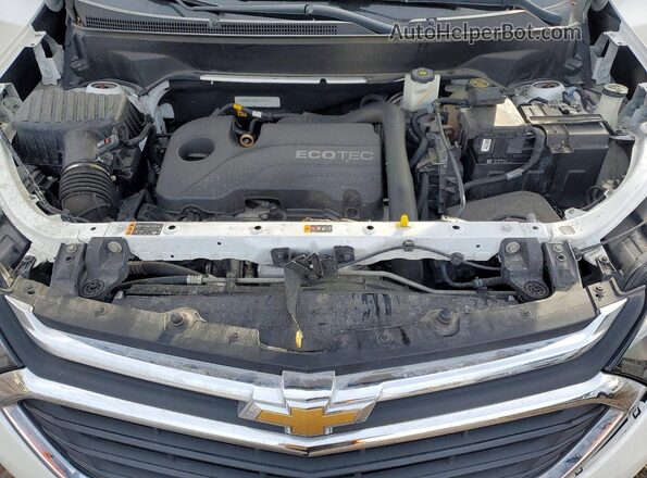 3GNAXNEV6MS144014 2021 CHEVROLET EQUINOX Белый Вид подкапотного пространства