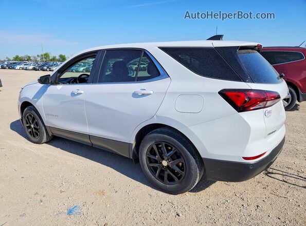 3GNAXTEG8PL126876 2023 CHEVROLET EQUINOX White Tył lewy