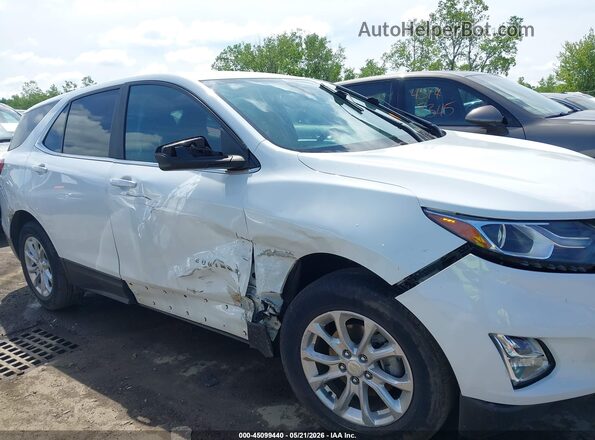 3GNAXTEV8MS122665 2021 CHEVROLET EQUINOX Белый Вид задней части салона