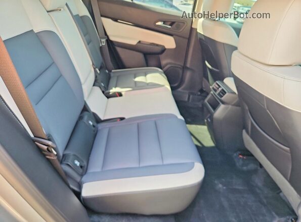 3GPKHWRM3SS528121 2025 HONDA PROLOGUE Gray Vista de los asientos traseros