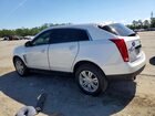 2016 Cadillac Srx Luxury Collection White vin: 3GYFNBE39GS516820