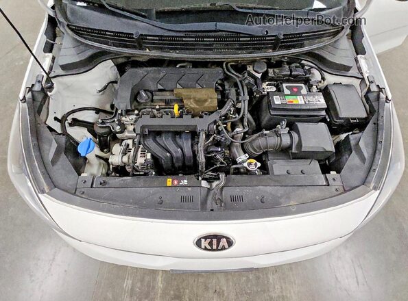 3KPA24AD8LE334943 2020 KIA RIO Белый Вид задней части салона