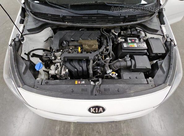 3KPA24AD8LE334943 2020 KIA RIO Белый 