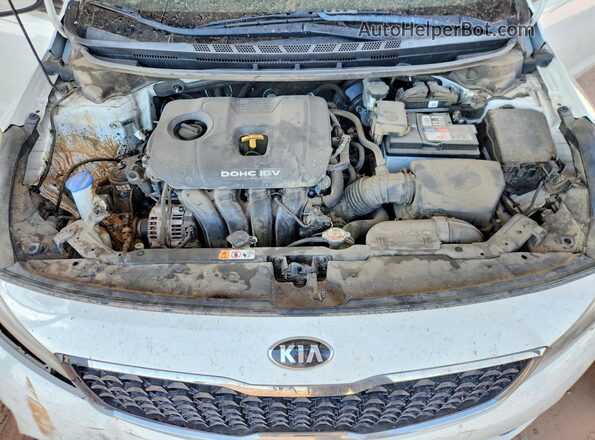 3KPFK4A79HE047134 2017 KIA FORTE Белый Вид задней части салона