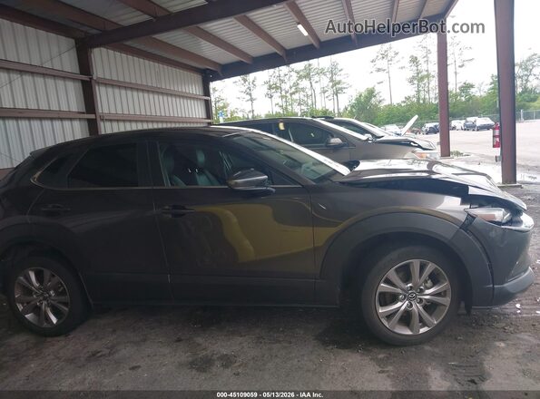 3MVDMABL6MM222000 2021 MAZDA CX-30 Gray Rear interior view