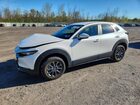2025 Mazda Cx-30 White vin: 3MVDMBAM4SM827016