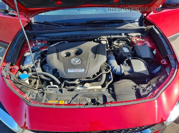 3MVDMBAY7MM254652 2021 MAZDA CX-30 Красный Вид задней части салона