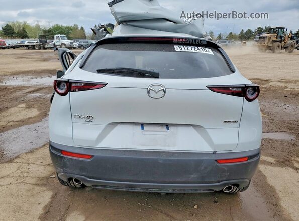 3MVDMBBM0SM807635 2025 MAZDA CX-30 Gray Widok z tyłu
