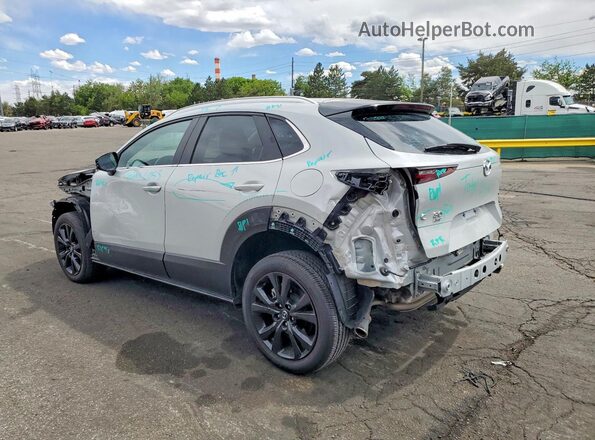 3MVDMBBM6SM796799 2025 MAZDA CX-30 Silver Հետևի ձախ