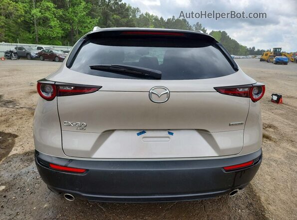 3MVDMBBM9RM698263 2024 MAZDA CX-30 Серый Вид сзади