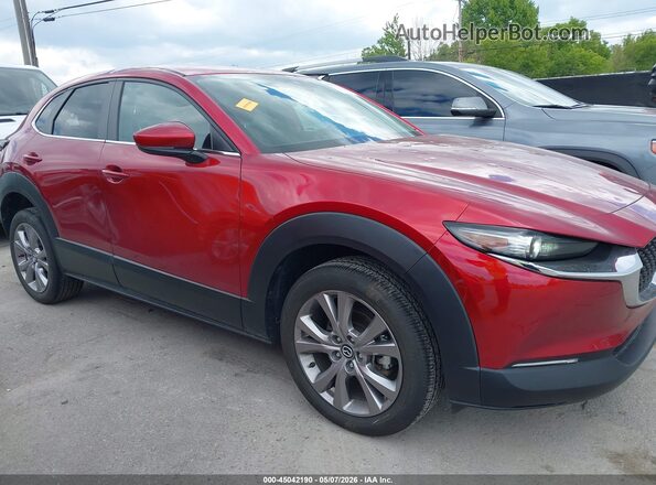 3MVDMBCL6LM133062 2020 MAZDA CX-30 Красный Вид задней части салона