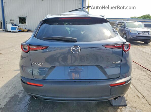 3MVDMBCM3SM773480 2025 MAZDA CX-30 Gray Вид ззаду