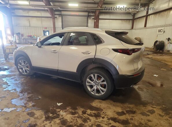 3MVDMBCM7RM696185 2024 MAZDA CX-30 Серебряный Задняя левая четверть