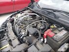 2021 Nissan Sentra Sv Xtronic Cvt Бордовый vin: 3N1AB8CV2MY265750