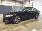 2023 Nissan Sentra Sv Black vin: 3N1AB8CV4PY232625 Damage: Left Front Fender, Multiple Dents/No Paint Damage, Pdr-2 Dents 2023 Nissan Sentra Sv Black vin: 3N1AB8CV4PY232625 Damage: Left Front Fender, Multiple Dents/No Paint Damage, Pdr-2 Dents