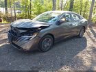 2026 Nissan Sentra Sv Gray vin: 3N1AB9CV3TY253997