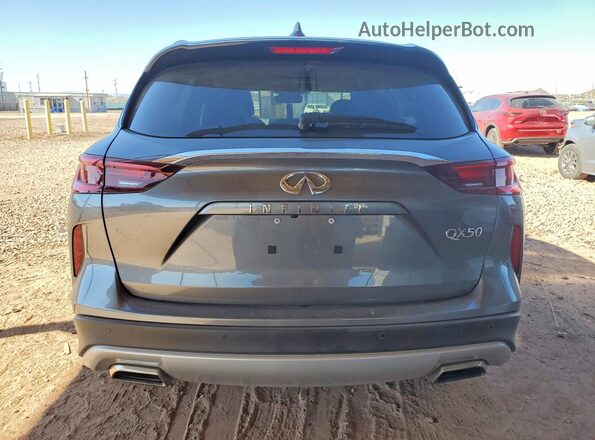 3PCAJ5BA9RF109009 2024 INFINITI QX50 Серый Вид сзади