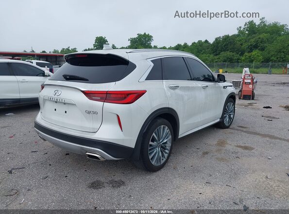 3PCAJ5EB1RF111227 2024 INFINITI QX50 White Tył prawy