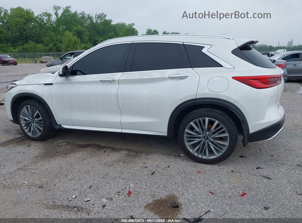 3PCAJ5EB1RF111227 2024 INFINITI QX50 White Widok wnętrza 360 stopni