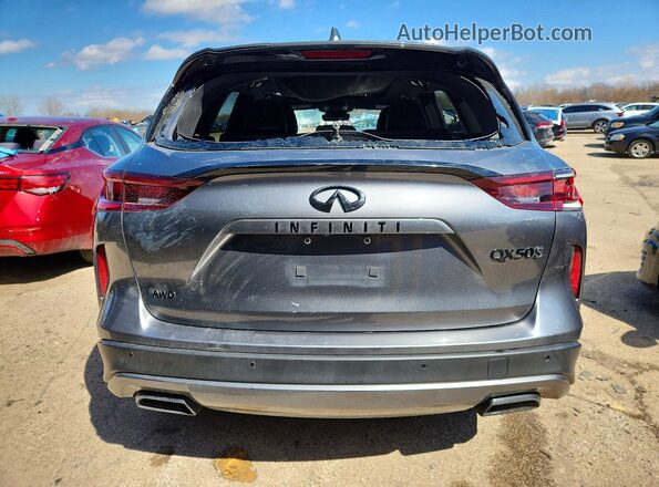 3PCAJ5FB3PF118515 2023 INFINITI QX50 Серый Вид сзади