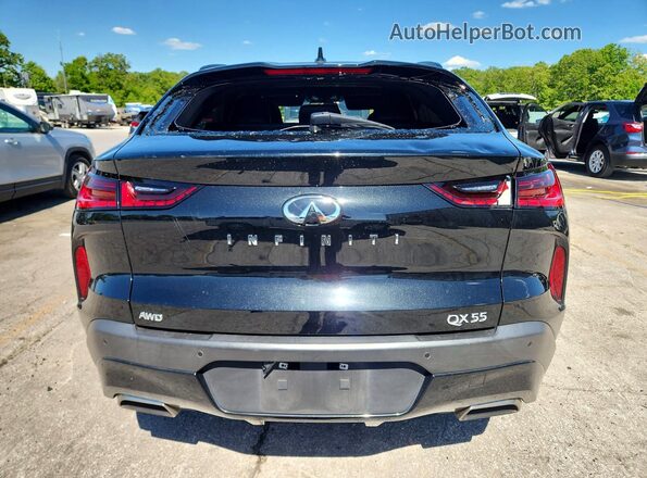 3PCAJ5LR1PF114903 2023 INFINITI QX55 Black Widok z tyłu