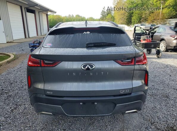 3PCAJ5LR1RF101328 2024 INFINITI QX55 Gray Widok z tyłu