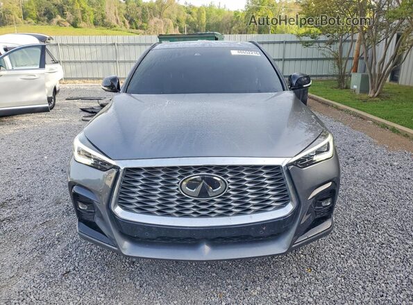 3PCAJ5LR1RF101328 2024 INFINITI QX55 Gray Widok z przodu