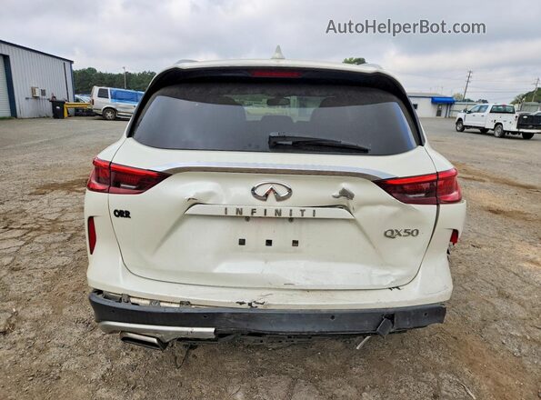 3PCAJ5M10KF120273 2019 INFINITI QX50 Белый Вид сзади