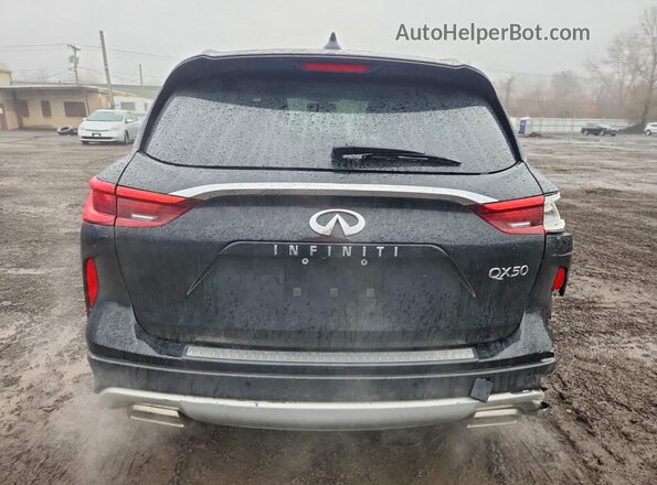 3PCAJ5M32KF100494 2019 INFINITI QX50 Черный Вид сзади