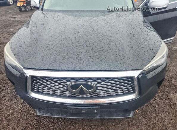 3PCAJ5M32KF100494 2019 INFINITI QX50 Черный Вид задней части салона
