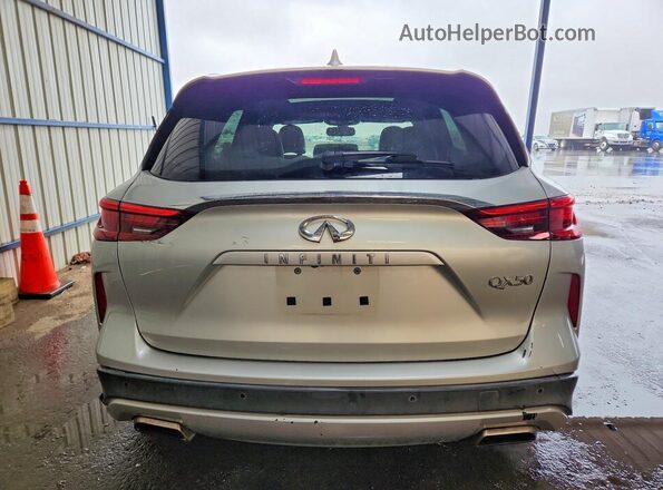 3PCAJ5M34KF105938 2019 INFINITI QX50 Silver Widok z tyłu