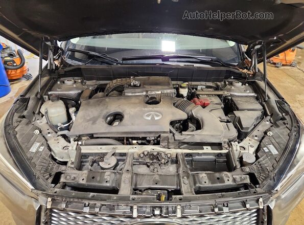 3PCAJ5M36KF107321 2019 INFINITI QX50 Серый Вид подкапотного пространства
