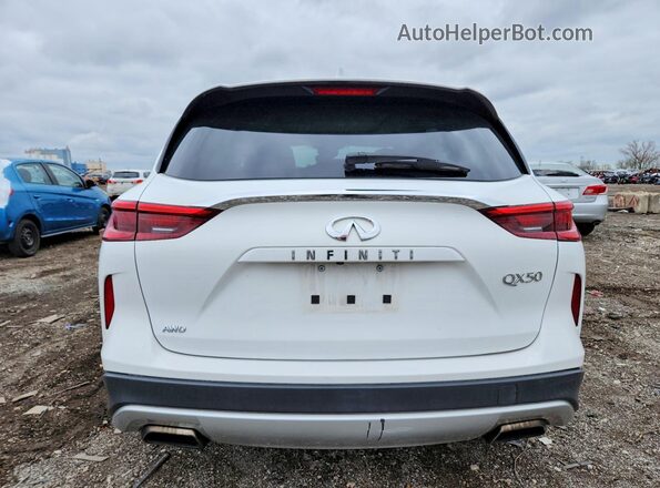 3PCAJ5M38KF137694 2019 INFINITI QX50 Белый Вид сзади