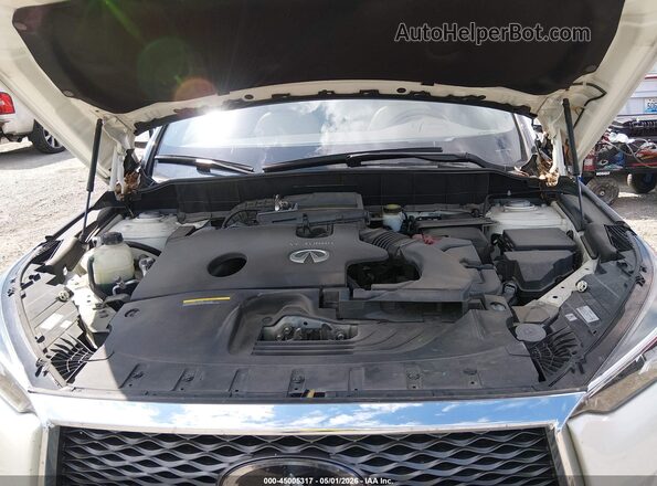 3PCAJ5M38KF138604 2019 INFINITI QX50 Белый Вид сзади