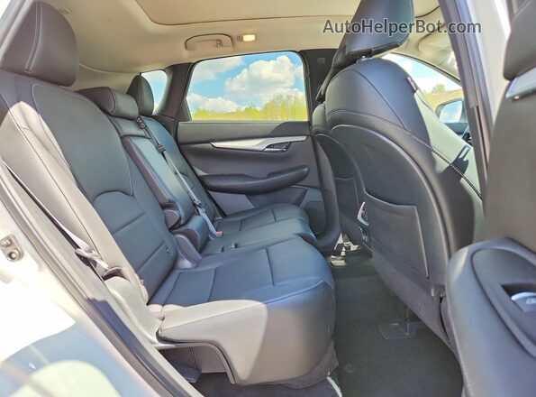 3PCAJ5M38LF104700 2020 INFINITI QX50 Белый Вид задней части салона